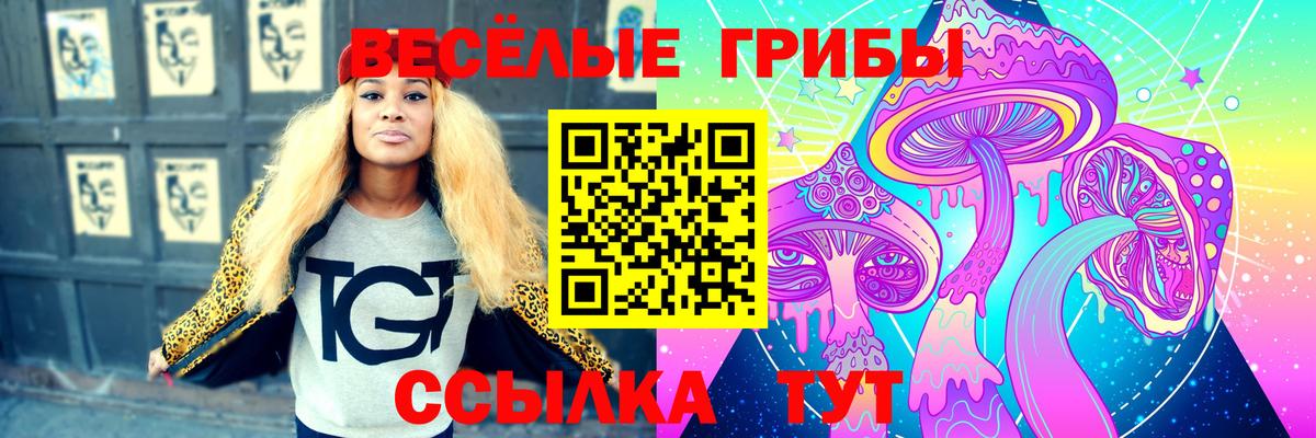 Псилоцибиновые грибы Cubensis Мичуринск