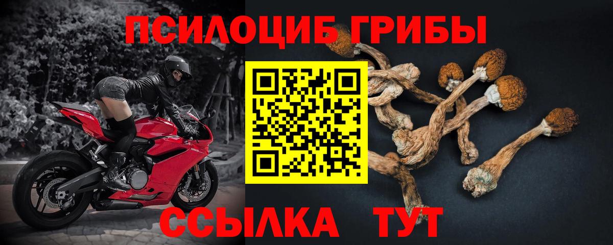 Мичуринск  Галлюциногенные грибы GOLDEN TEACHER  Вход с VPN  Псилоцибиновые грибы Psilocybe 